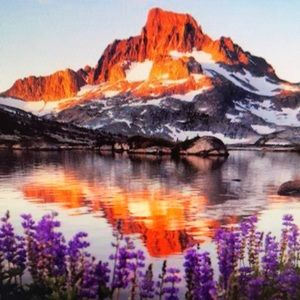 Meet your Posher, Jaylee